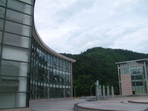 杭州市余杭區(qū)雙槍竹木有限公司