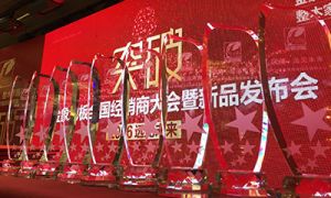 “突破 遠(yuǎn)見未來”金象地板2016年全國經(jīng)銷商大會暨新品發(fā)布會隆重召開