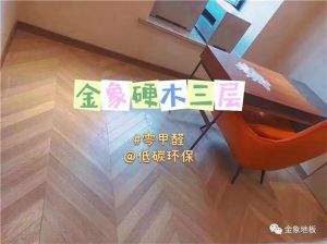 炎夏也驚鴻 恭喜金象地板再次獲獎